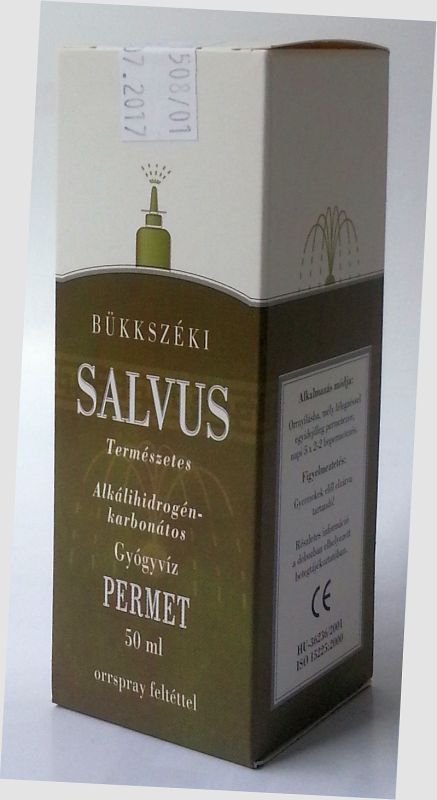 SALVUS GYÓGYVÍZPERMET.jpg